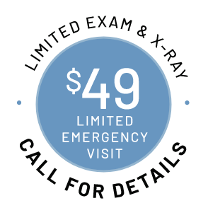 $49 New Patient Dental Visit stamp